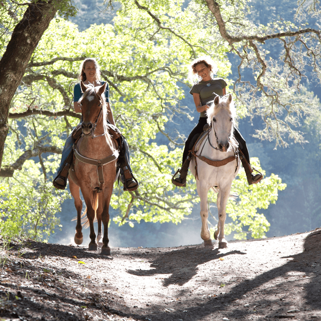 Two women riding horses on a sunlit trail surrounded by lush greenery.