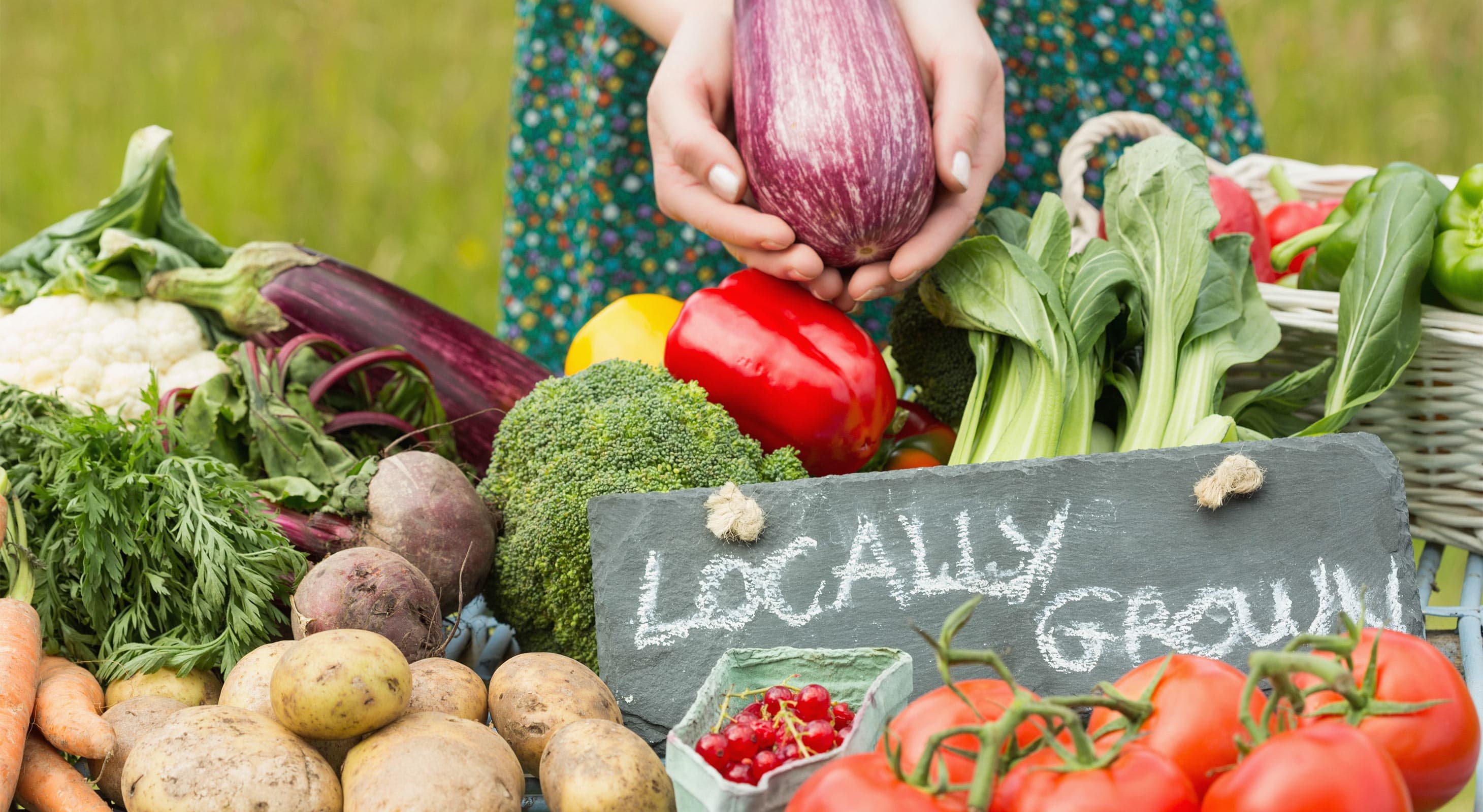 A person holds an eggplant above a variety of fresh, locally grown vegetables on a table.