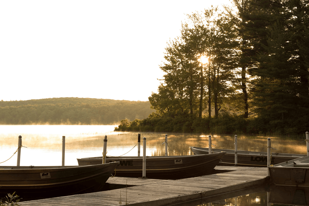 Calm morning at a lakeside dock with boats and sunlight peeking through trees.