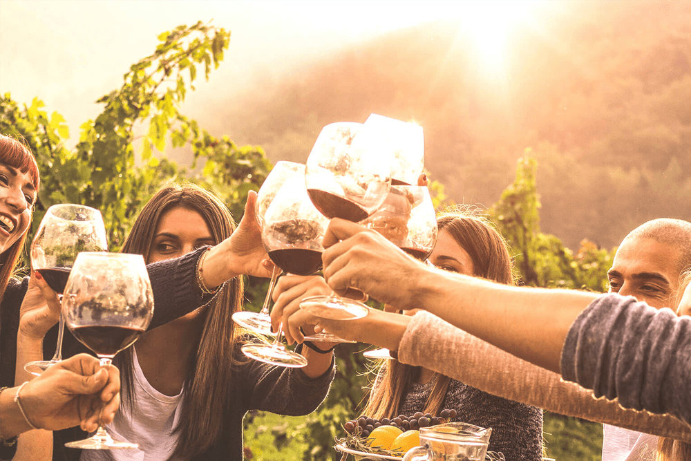 A group of friends toasting with wine glasses at sunset in a vineyard.