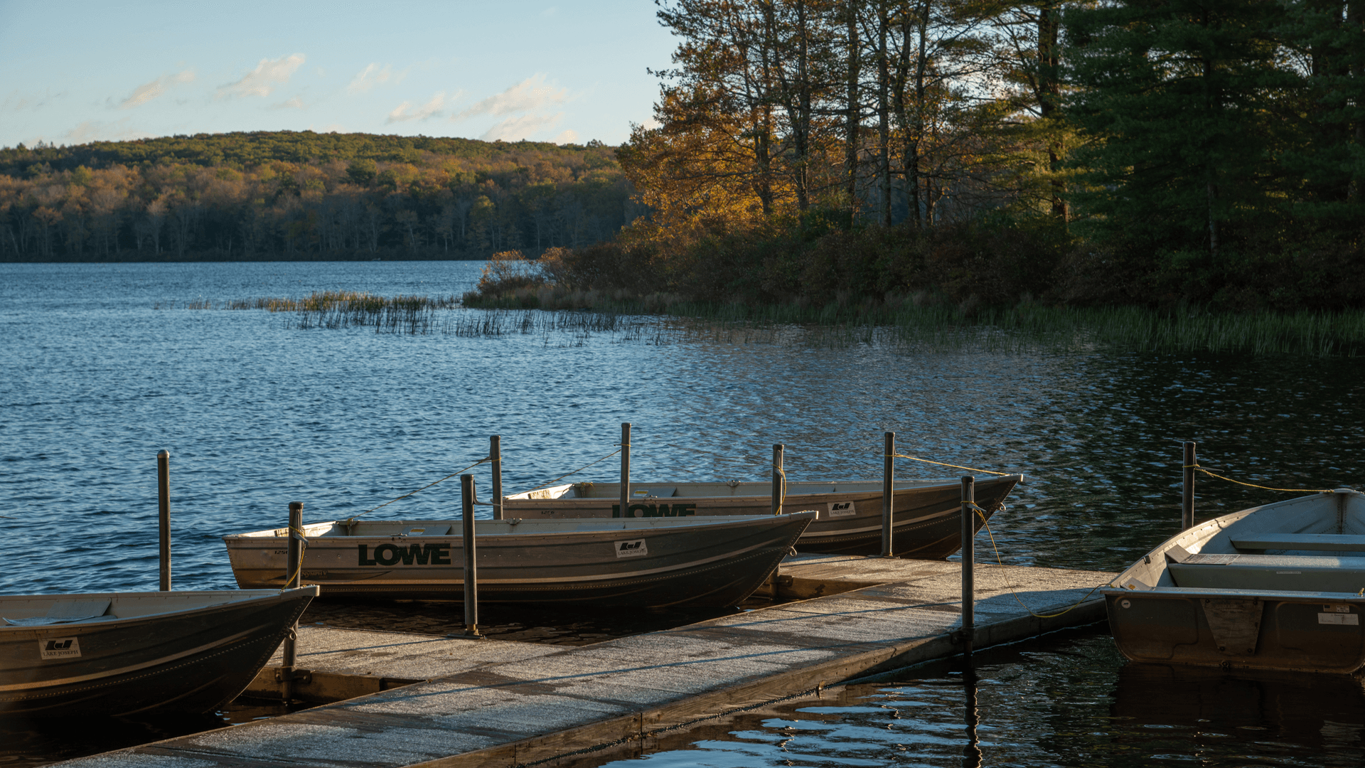 Boats tied up at a dock by a serene lake surrounded by trees in autumn foliage.