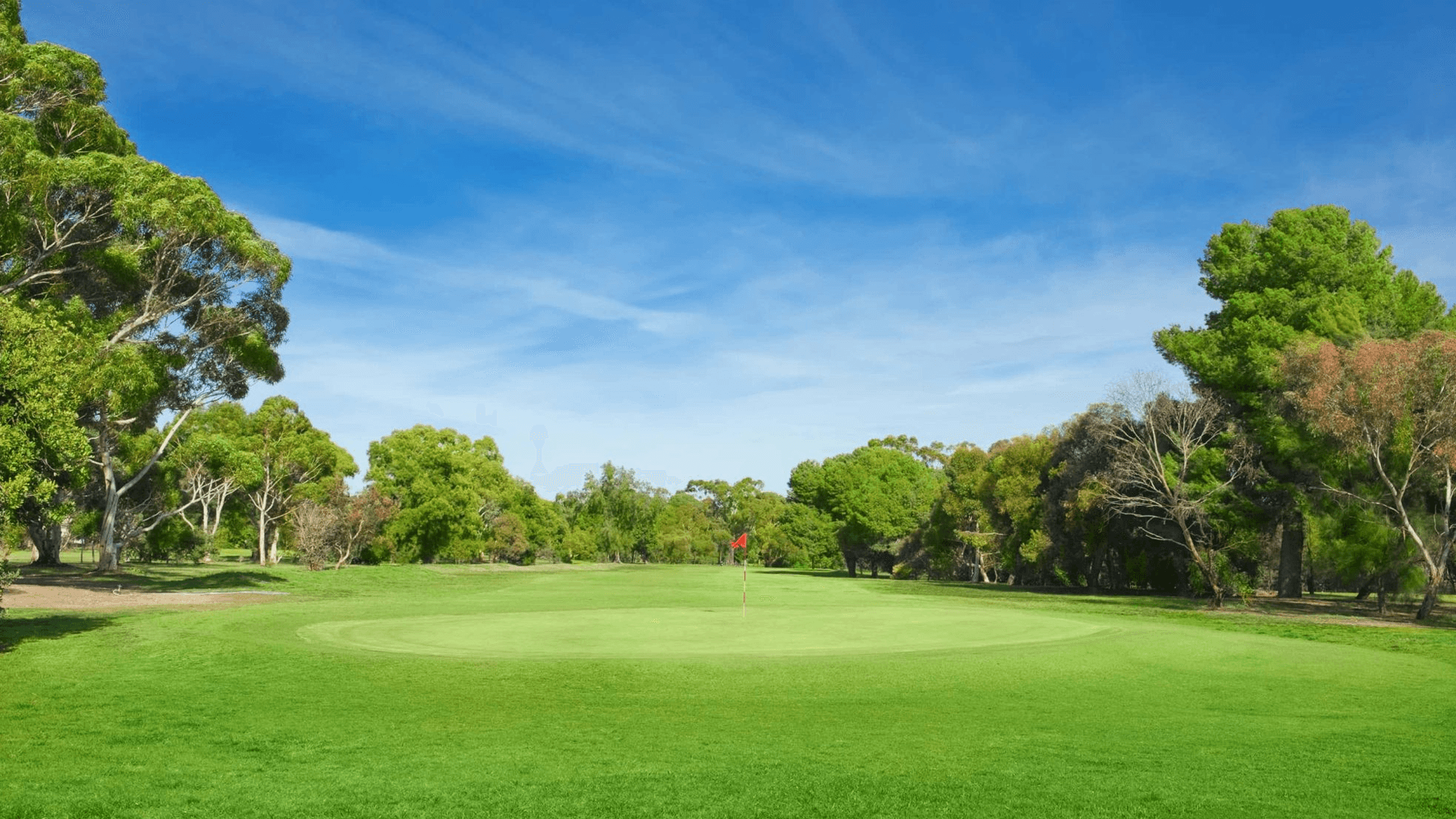 A serene golf course under a vibrant blue sky dotted with clouds. The lush green fairway leads to a red flag on a putting green, surrounded by tall trees.