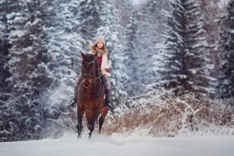A woman in winter attire rides a horse through a snowy forest.